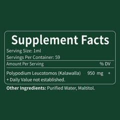 Quality assurance and Honduran origin branding