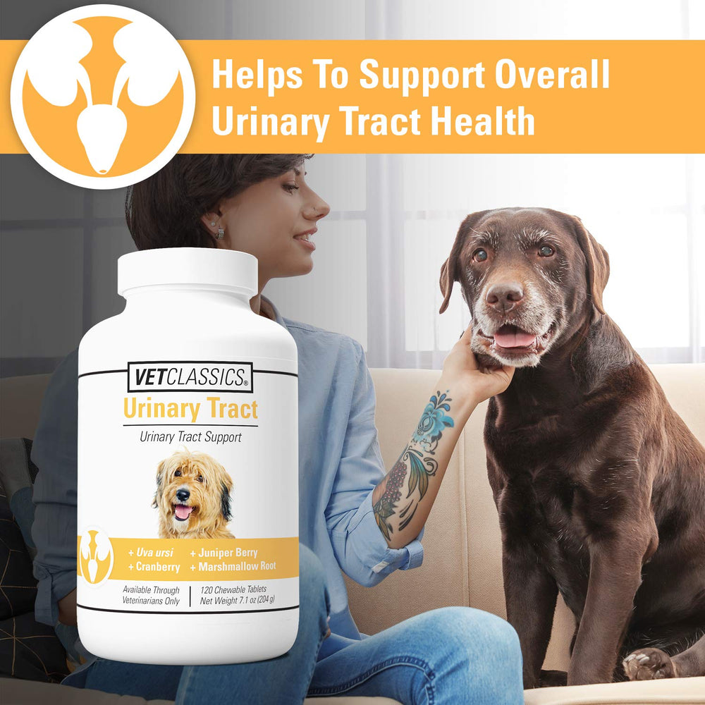 Chewable tablets and a Vet Classics Urinary Tract Dog Supplement bottle.