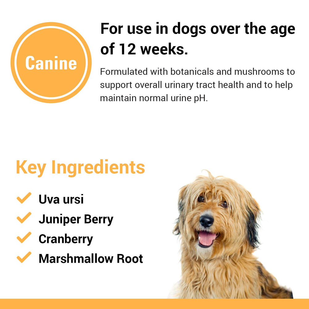 Box and bottle packaging for Vet Classics Urinary Tract Dog Supplement 120 Ct.