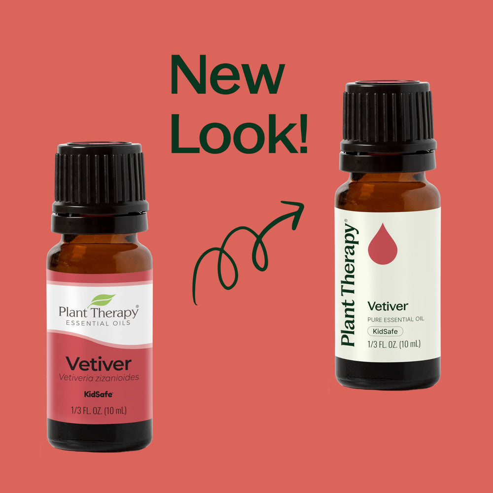 Vetiver essential oil drops in glass bottle