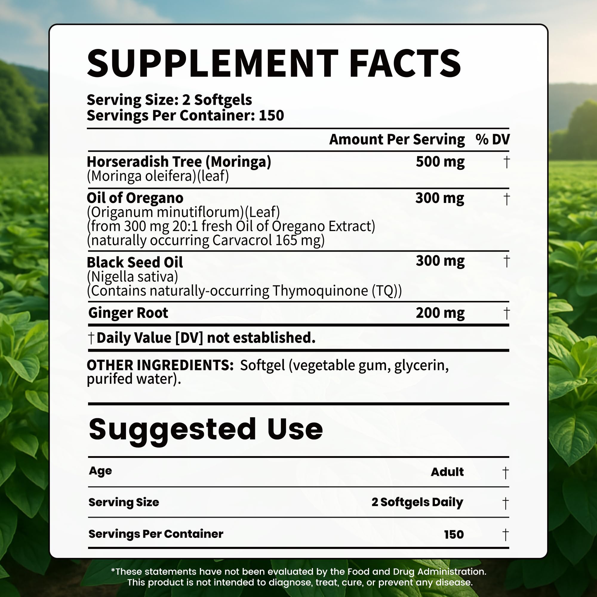 Close-up of 300mg oregano oil capsules