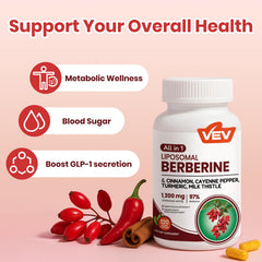 Front view of VEV Berberine bottle showing 120 capsules