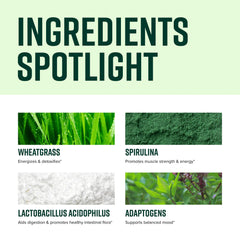 Vibrant Health Green Vibrance ingredients panel highlights 65 plant-based items