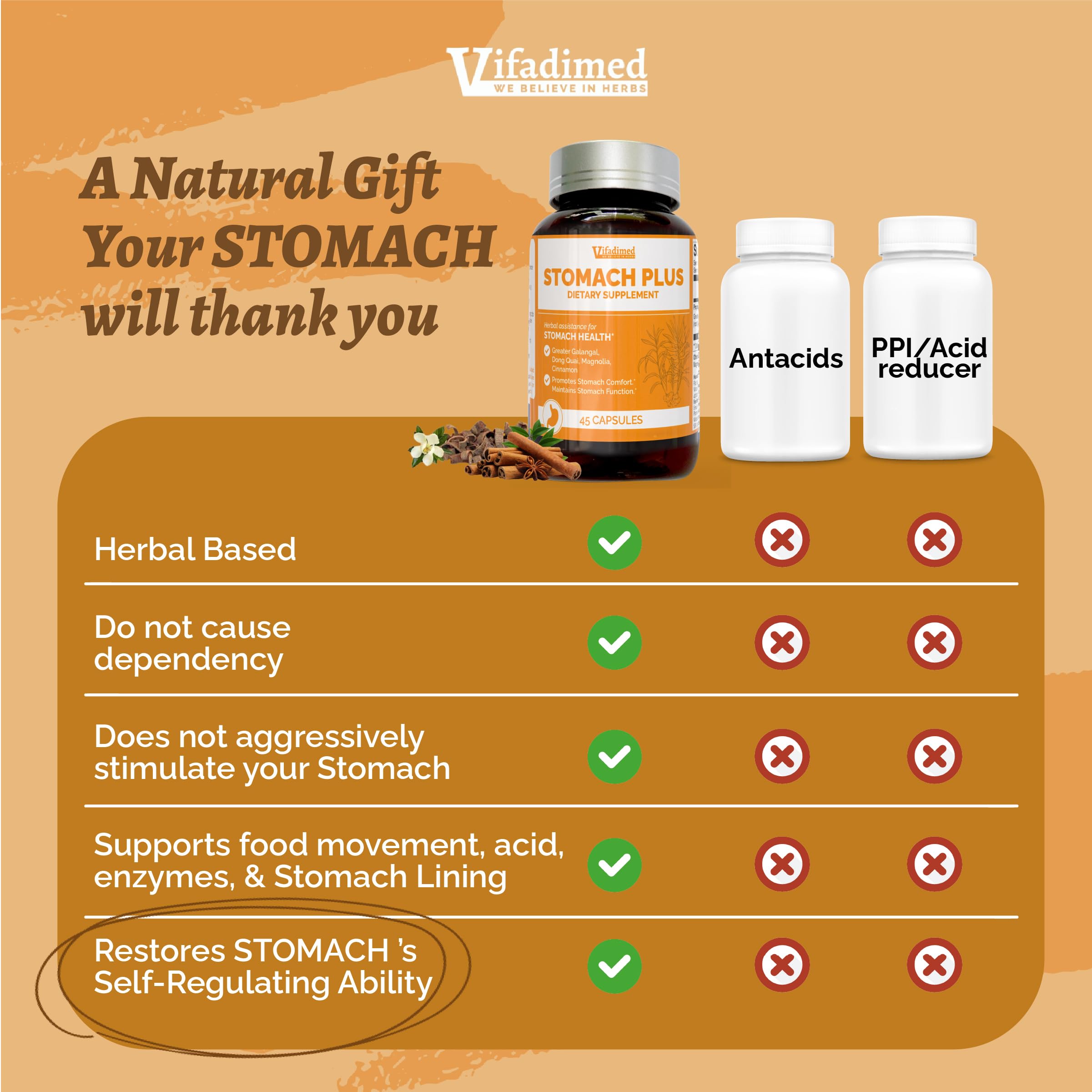 Cinnamon and Magnolia Bark ingredients in Stomach Plus