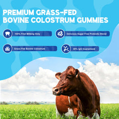Sugar free colostrum gummies