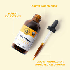 Dropper filled with goldenseal liquid