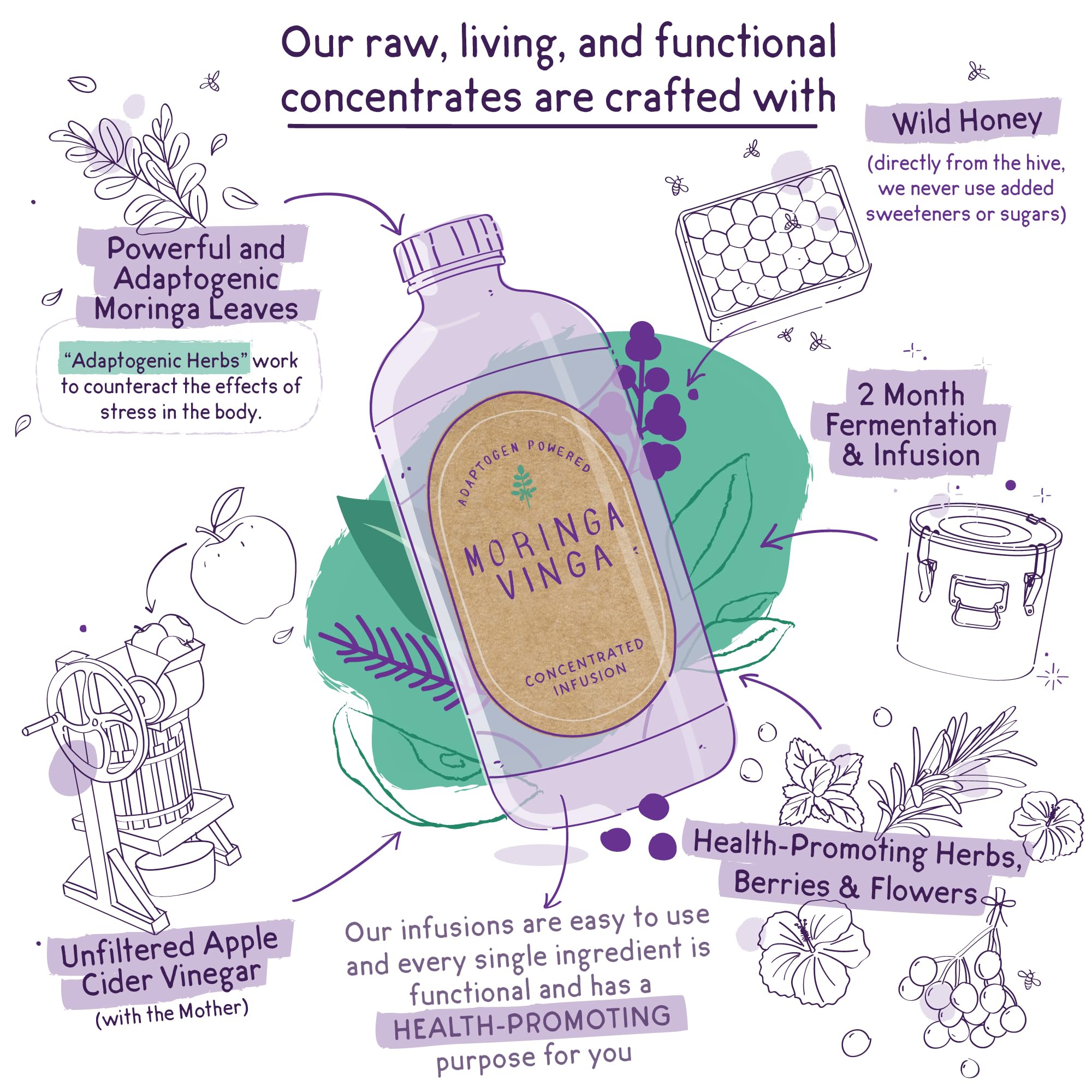 VINGA cold-pressed moringa extract close-up highlighting nutrient-rich blend