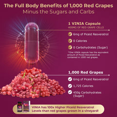 VINIA daily-dose pack scene emphasizes consistent intake for polyphenol benefits.