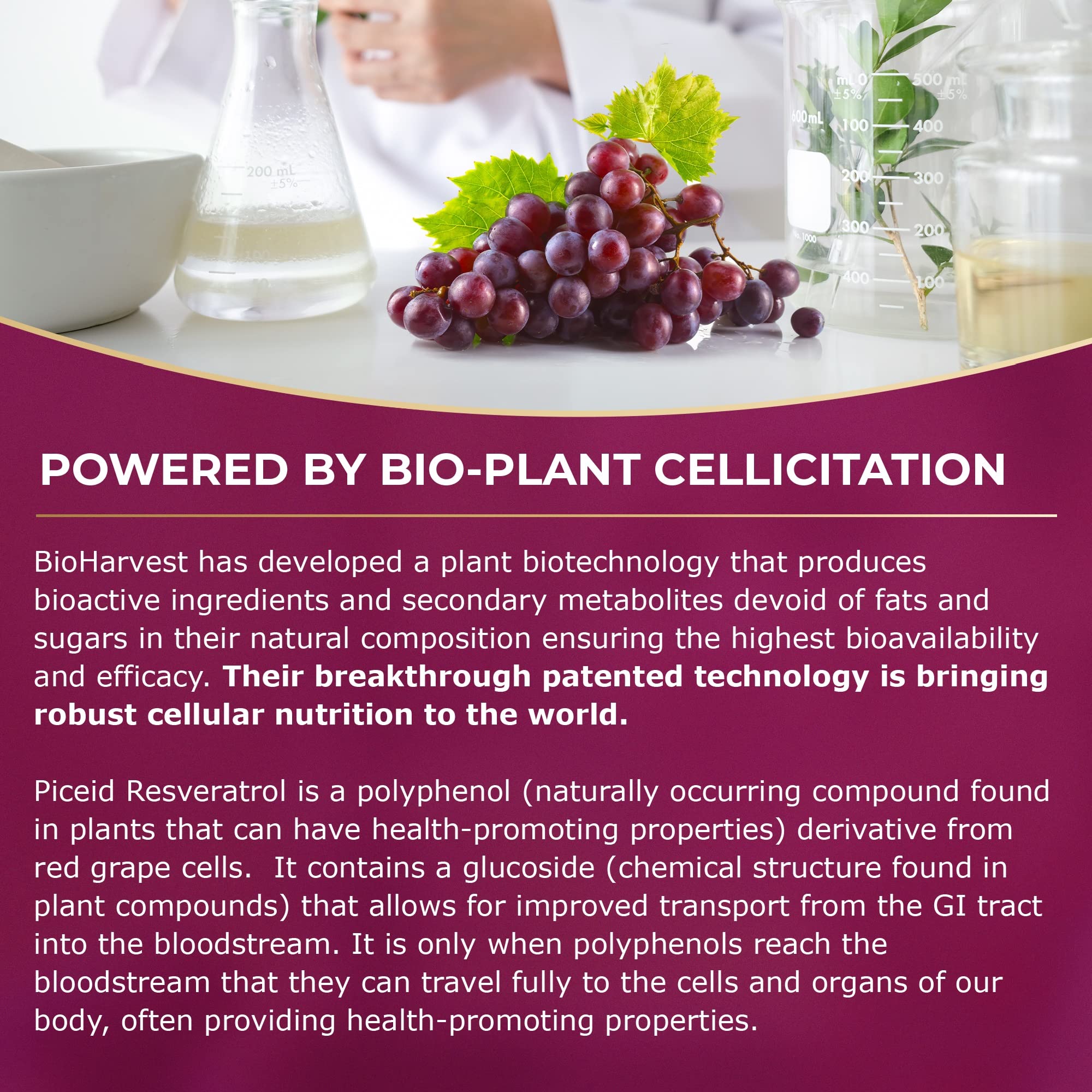 VINIA science-led packaging signals strong research backing for vascular wellness.