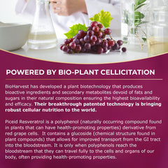 VINIA science-led packaging signals strong research backing for vascular wellness.