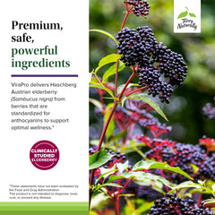 Elderberry, zinc and selenium as immune support ingredients