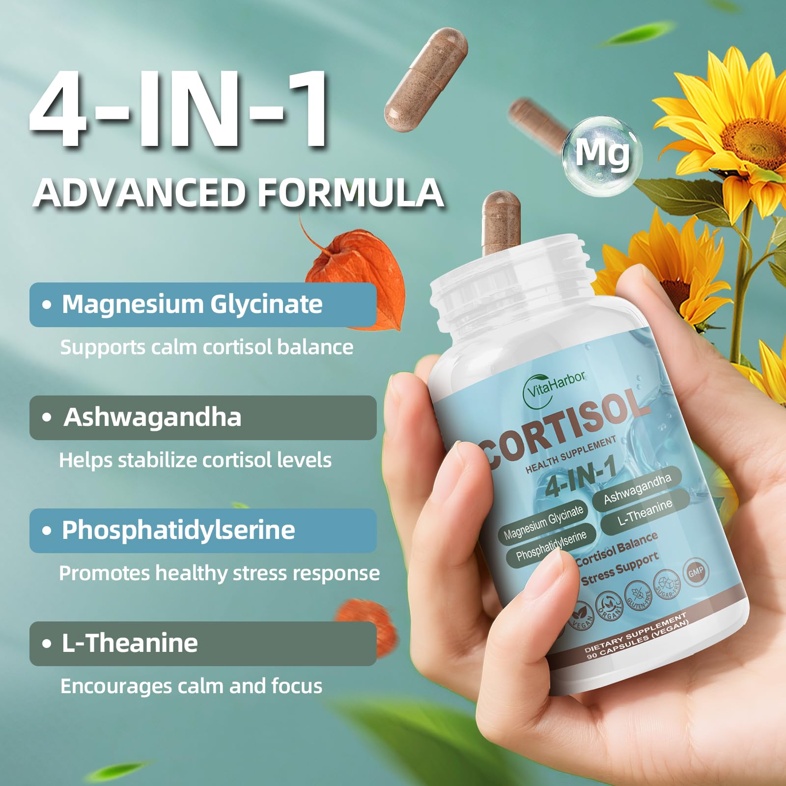 Graphic highlighting the four ingredients: Ashwagandha, Phosphatidylserine, Magnesium Glycinate, and L-Theanine