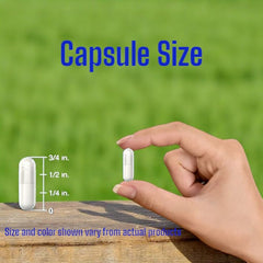Compact bottle dimensions suitable for travel