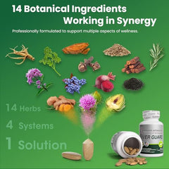 Back label with supplement facts on VITAJOURNEY Liver Cleanse Detox bottle