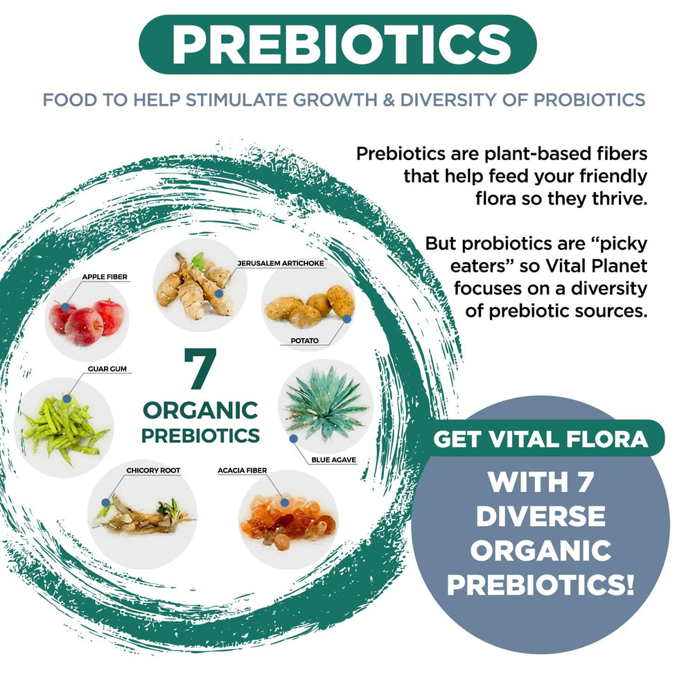 7 organic prebiotics included in Vital Flora Men 55+