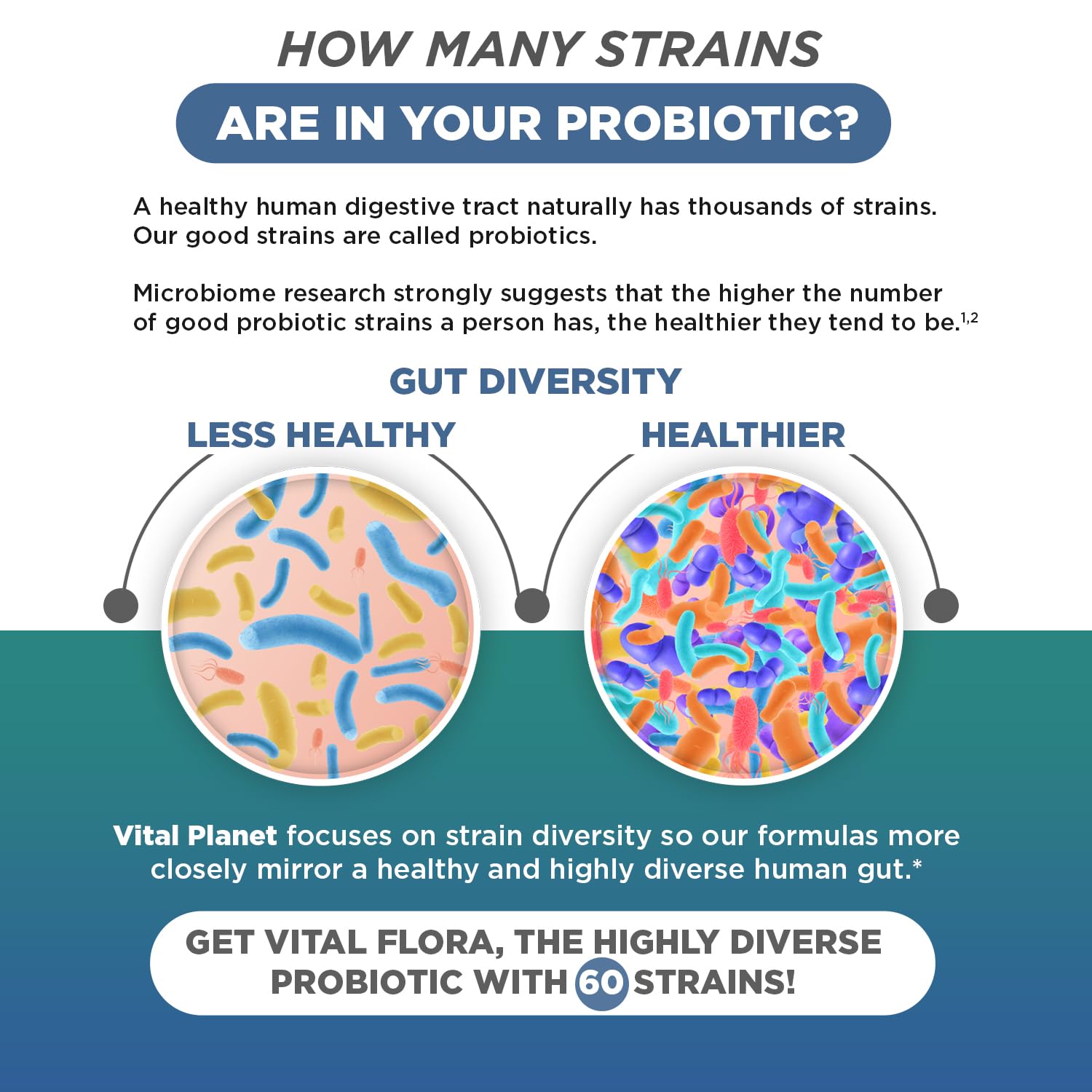 Adults (men and women) benefiting from digestive health with probiotic