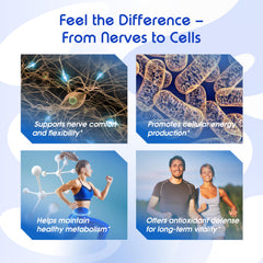 Graphic illustrating absorption and bioavailability