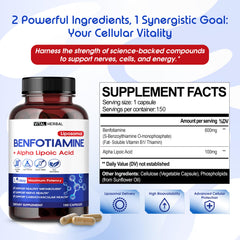 Liposomal delivery technology concept