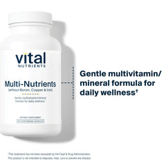 Illustration highlighting antioxidants and key nutrients in Multi-Nutrients 5