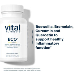 Digestive health support graphic with enzymes