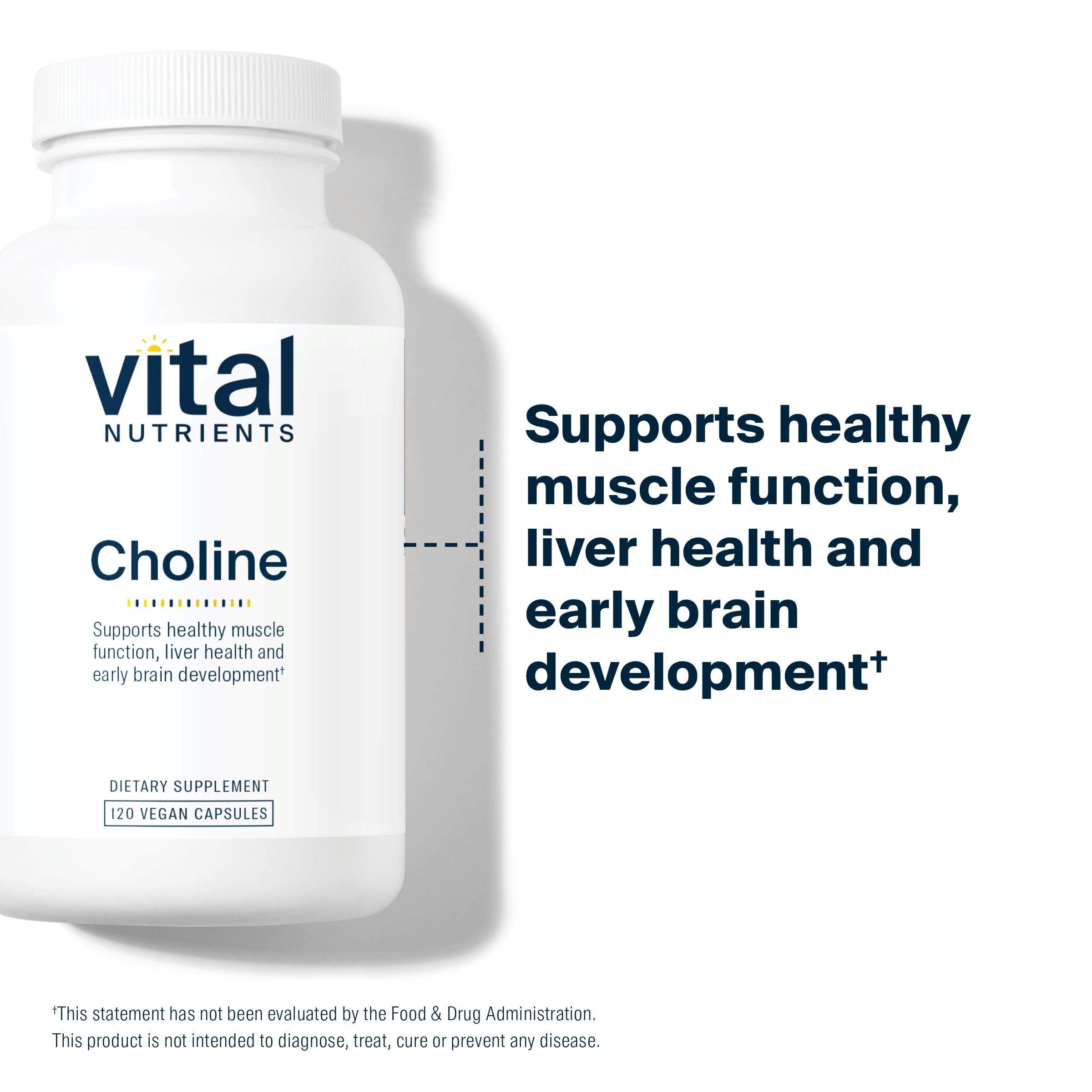 Choline metabolism and liver health illustration