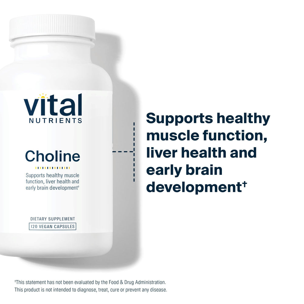 Choline metabolism and liver health illustration