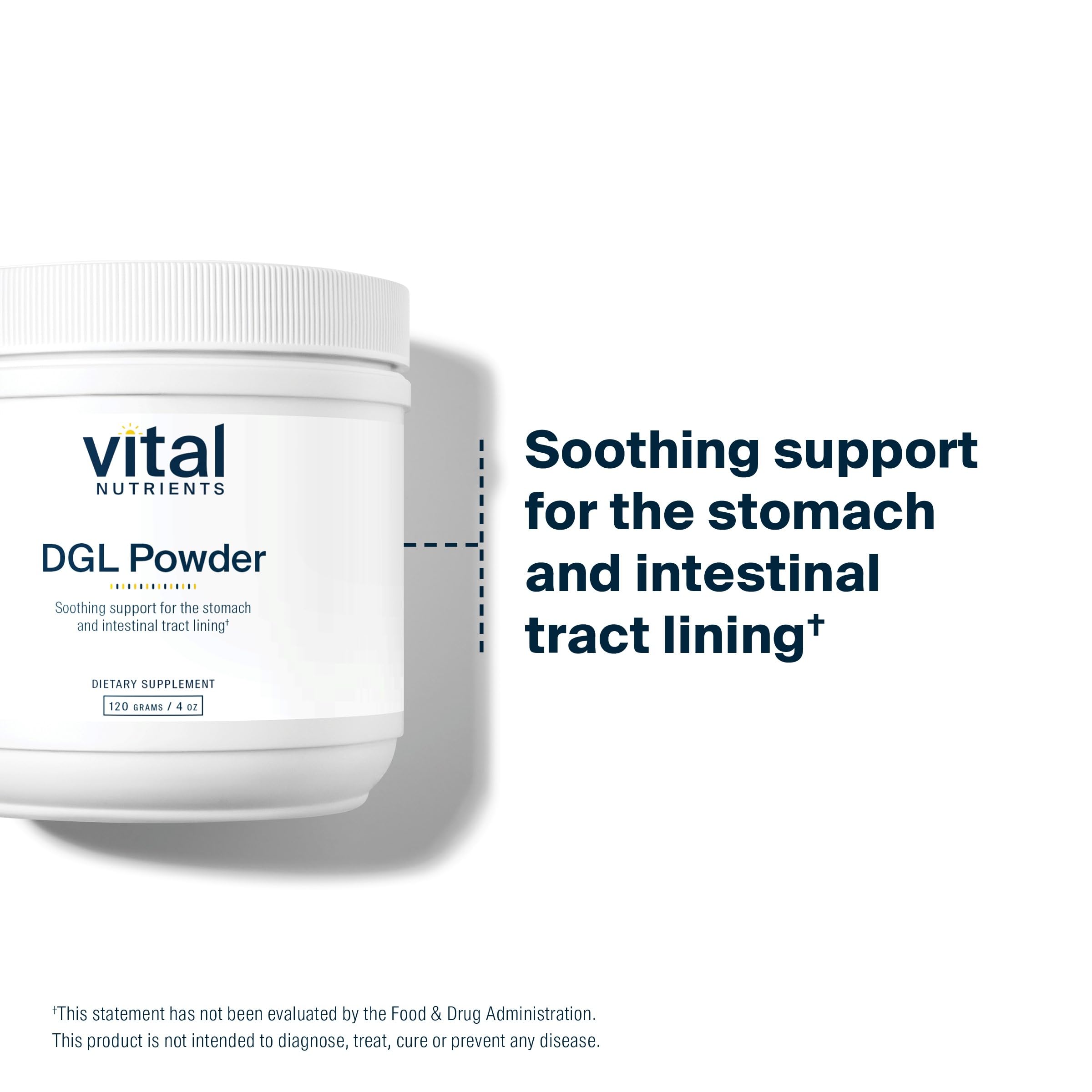 Lifestyle shot of Vital Nutrients DGL Powder bottle in a kitchen setting
