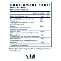 Milk thistle and curcumin ingredients visual for Liver Support