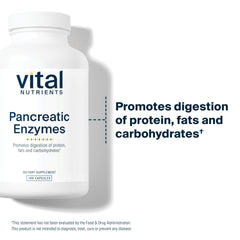 Vital Nutrients Pancreatic Enzymes capsules being poured for easy dosing.