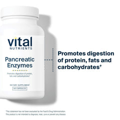 Vital Nutrients Pancreatic Enzymes ingredient panel highlights protease, lipase and amylase for balanced digestion