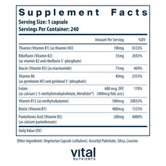 Close-up of Vital Nutrients B-Complex capsules highlighting vegan, high-potency B vitamins