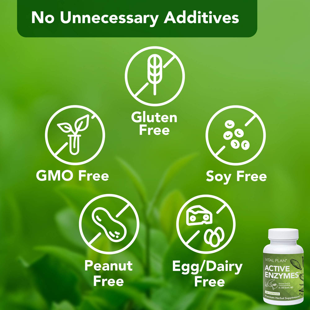 Graphic of plant-based enzymes including Amylase and Alpha Galactosidase