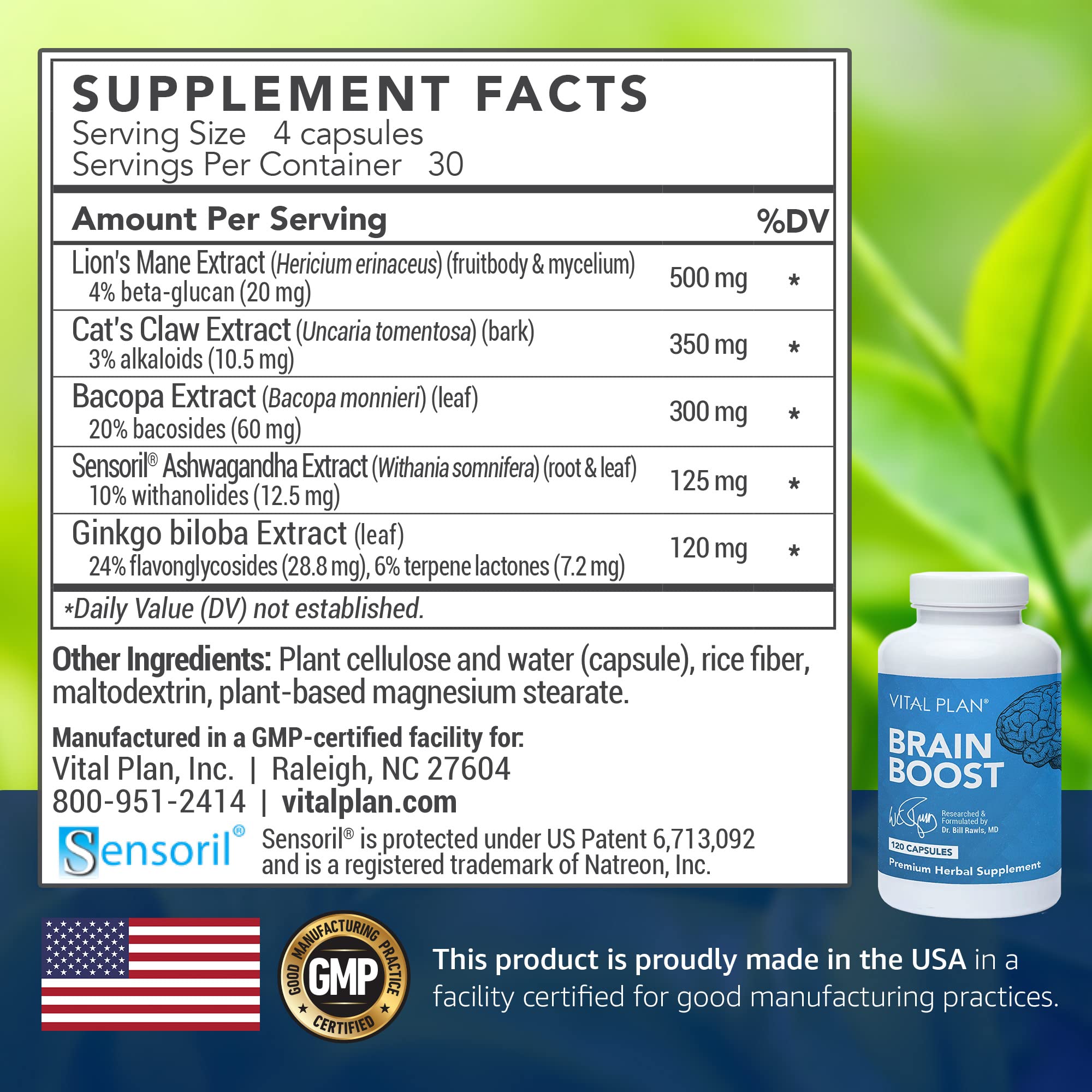 Brain Boost benefits banner