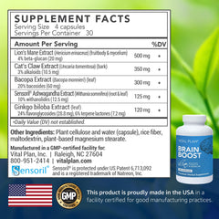 Brain Boost benefits banner