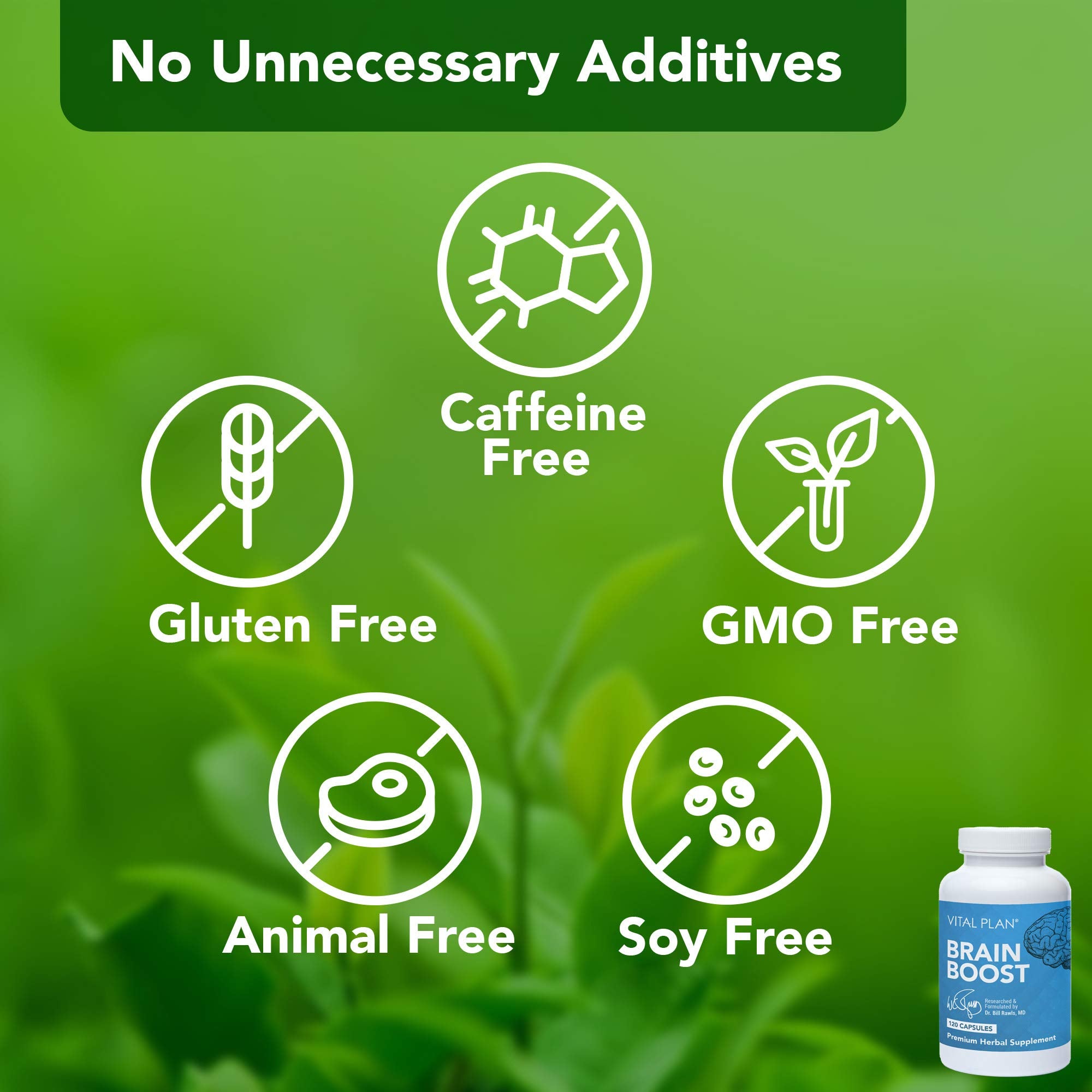 Ingredients list for Vital Plan Brain Boost
