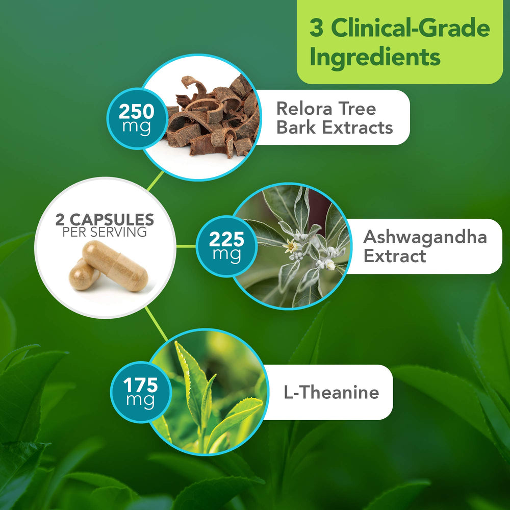 L-Theanine capsule close-up