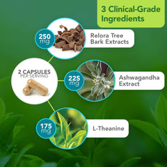 L-Theanine capsule close-up