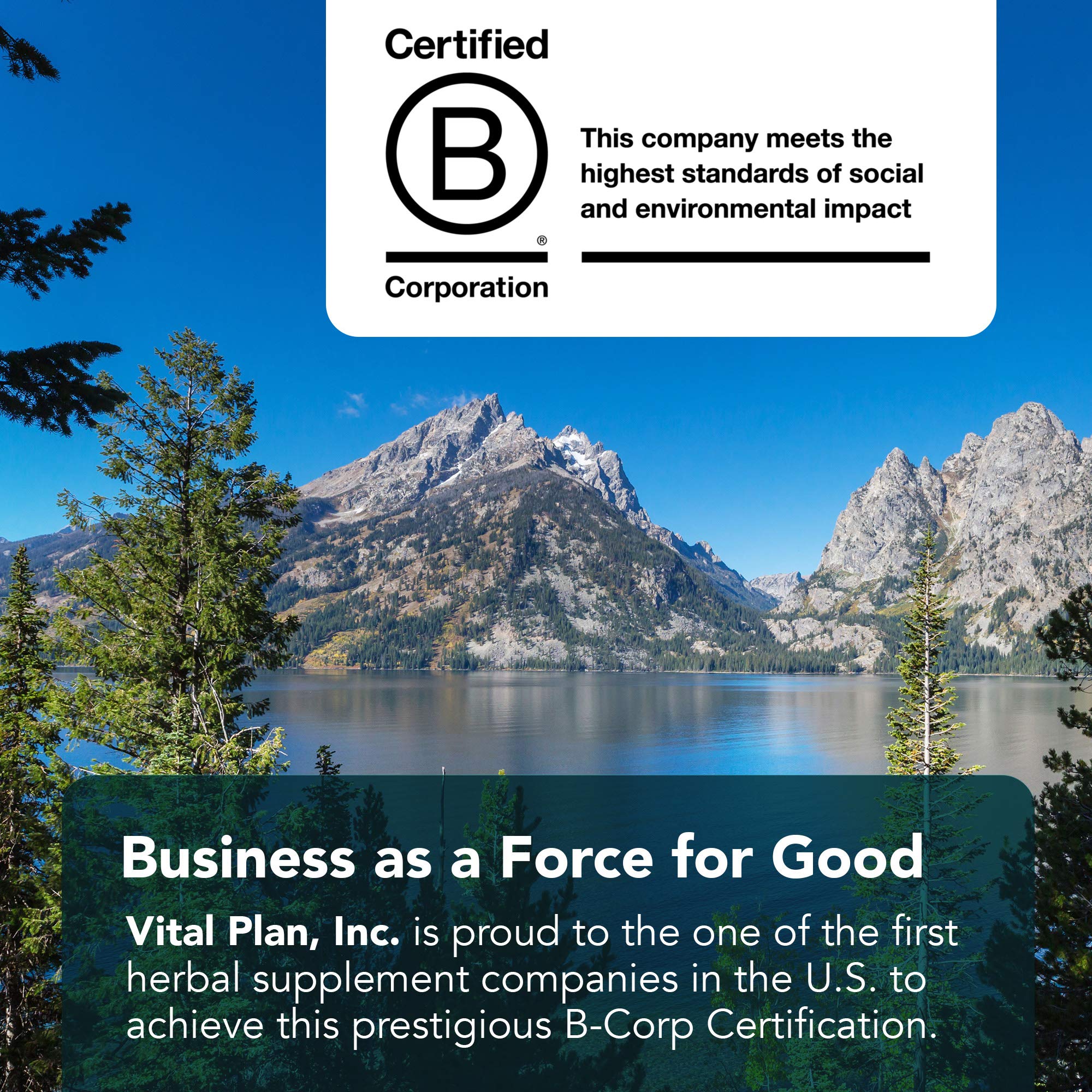 Vital Plan HPA Balance bottle with packaging