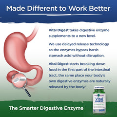Scientist and gut health research imagery for Vital Digest