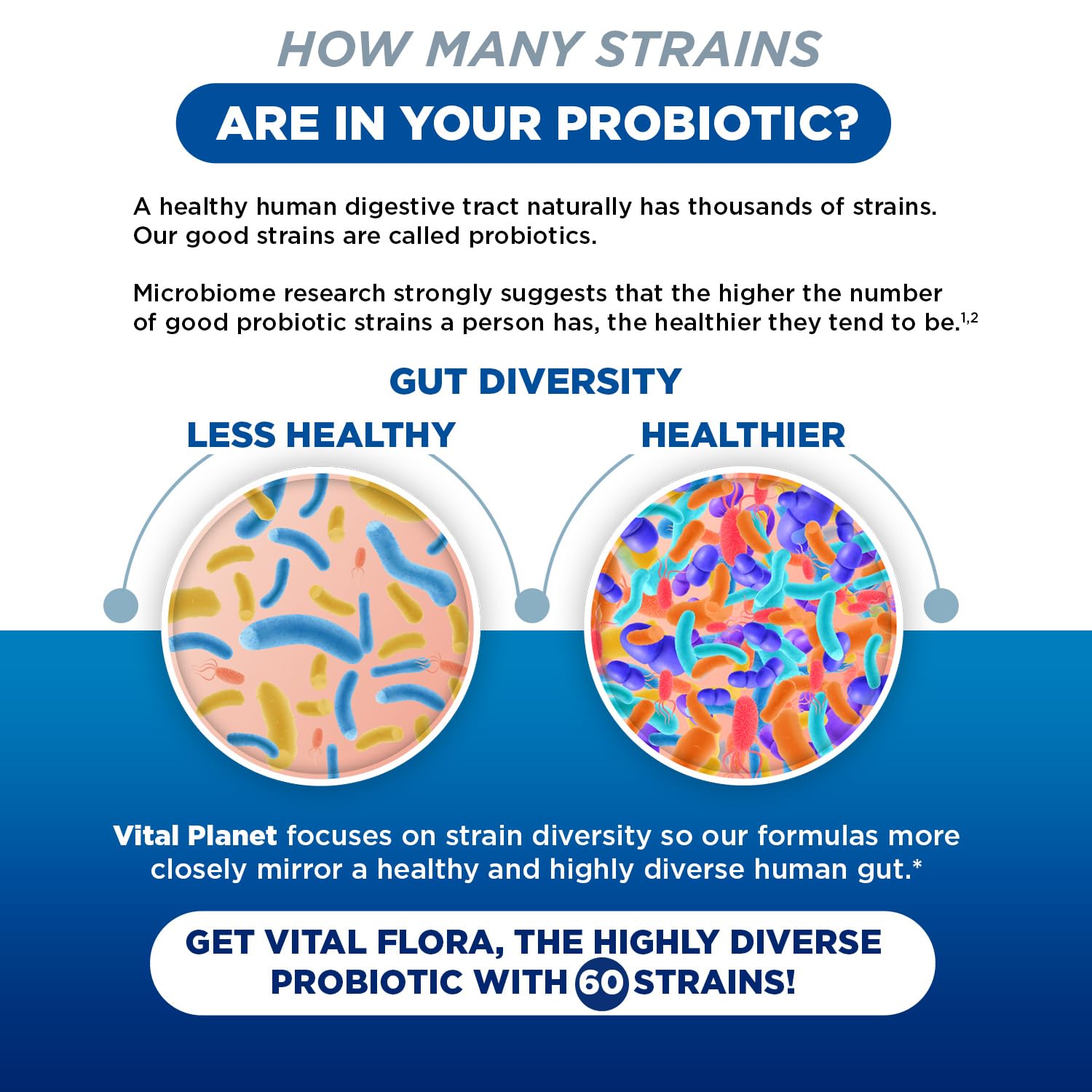 Vital Planet Vital Flora probiotic blend supporting digestive and immune health on the go.