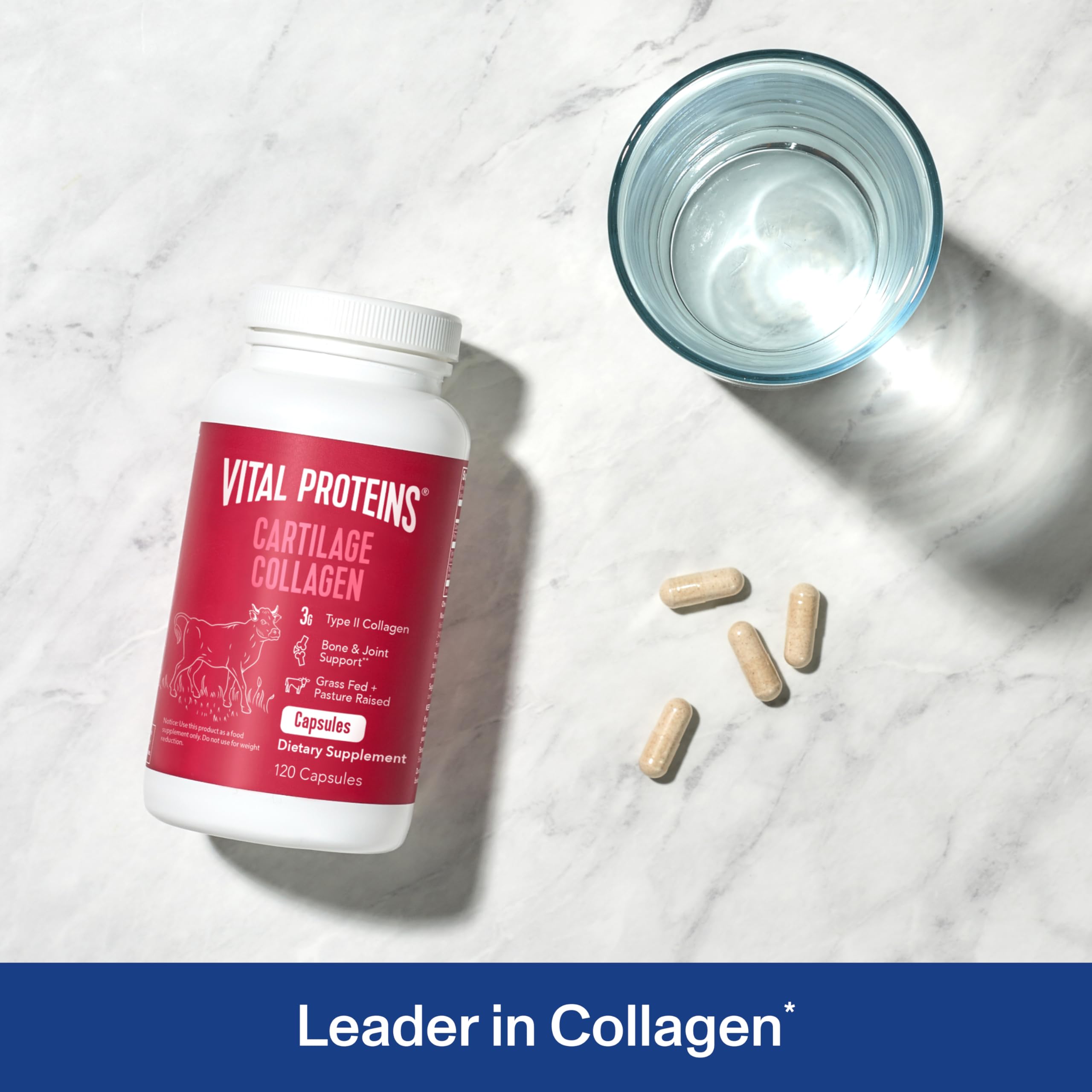 Close-up of Vital Proteins Cartilage Capsules label highlighting Type II collagen and chondroitin.