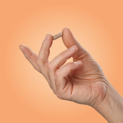 Illustration of focus and memory icons