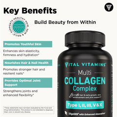 Collagen types I II III V X illustration