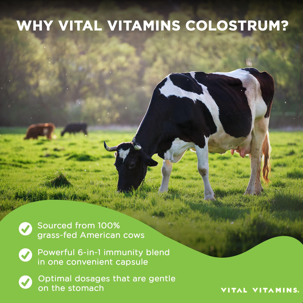 Vitamin C, Zinc and Selenium supplement ingredients