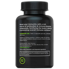 Concept image of immune support and digestive wellness