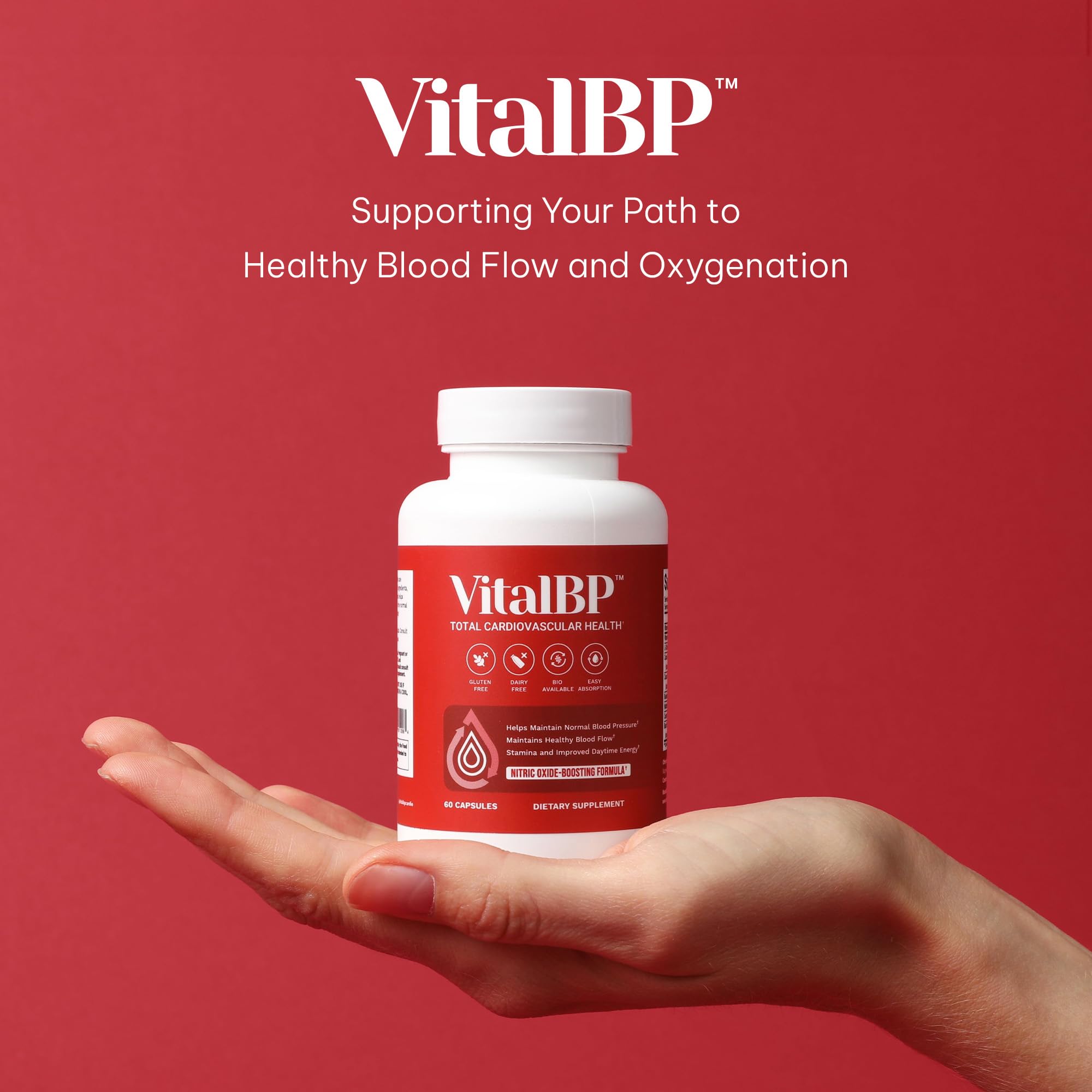 VitalBP Wild Blueberry Extract visual suggests antioxidant support for daily wellness.