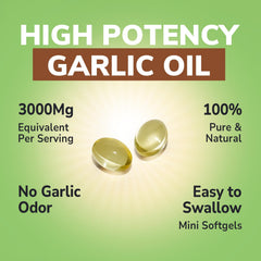 Graphic illustrating 100:1 ultra-concentrated garlic oil extract