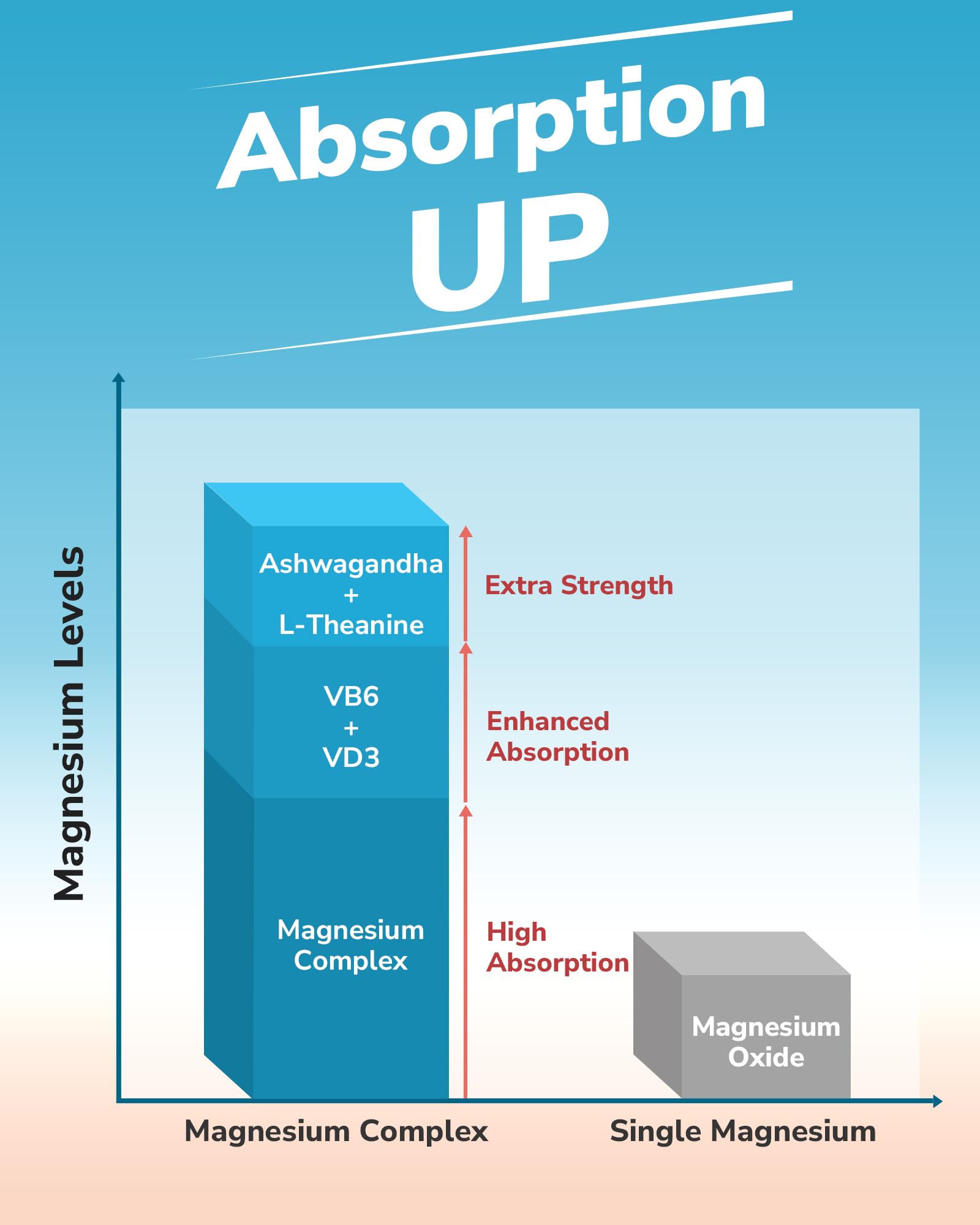 Vitamin D3 and B6 supporting the magnesium complex