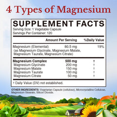 Close-up of four chelated magnesium forms: glycinate, citrate, taurate, malate