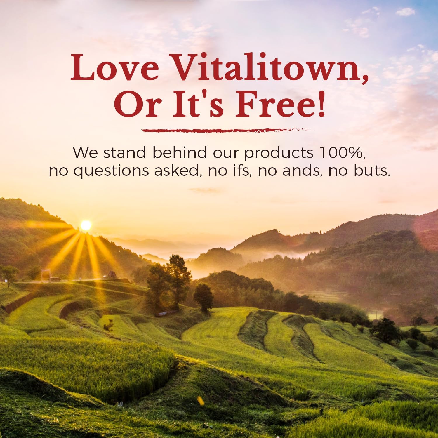 Back packaging view of Vitalitown Magnesium Complex two-pack